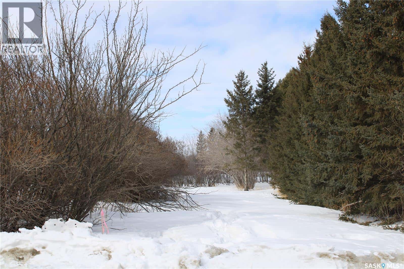 730 Broadway STREET W — Orkney Rm No. 244, Saskatchewan - Photo 4 of 9