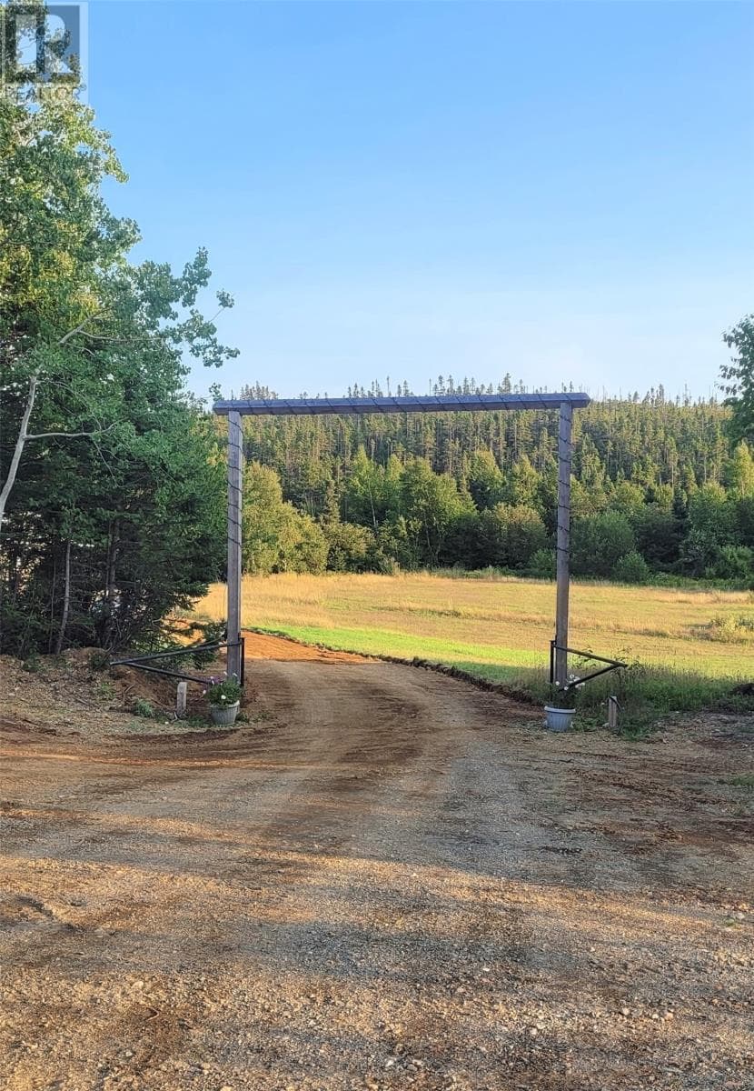 2 Main Road — St Patricks, Newfoundland & Labrador - Main photo