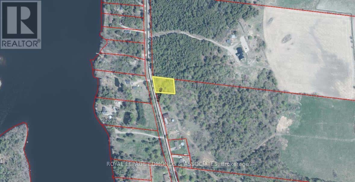 00 RAPID ROAD — Whitewater Region, Ontario - Photo 3 of 14