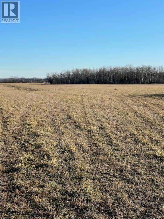 Pt. of NW-28-71-5-W6 — Rural Grande Prairie No. 1, County of, Alberta - Photo 4 of 5