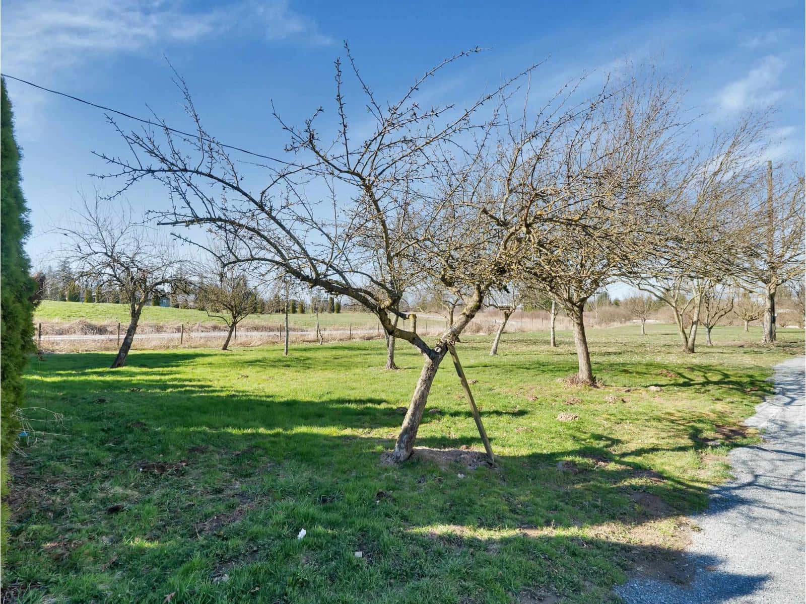 27550 48 AVENUE — Langley, British Columbia - Photo 4 of 40