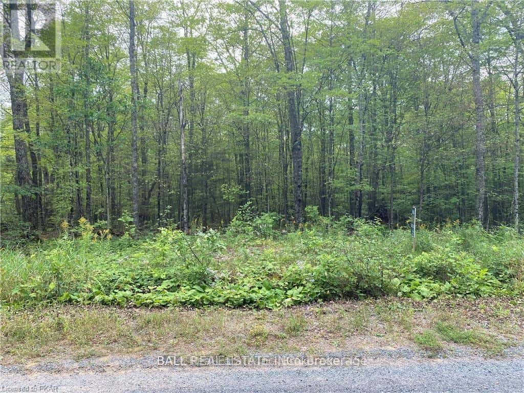 N/A PCL 45-2 SEC M63 ROAD — Marmora and Lake (Lake Ward), Ontario - Photo 3 of 8