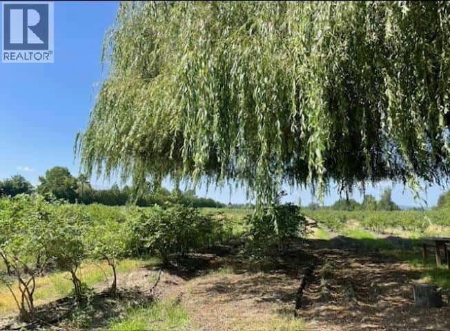 12853 HARRIS ROAD — Pitt Meadows, British Columbia - Photo 5 of 13