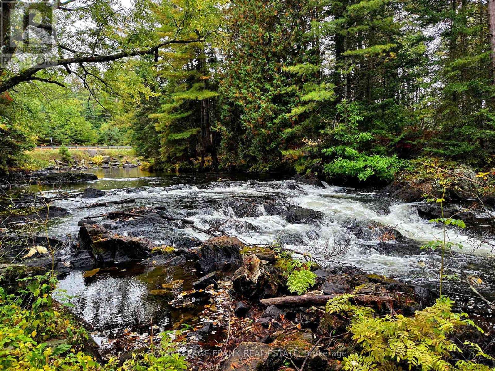 8847 HIGHWAY 28 — North Kawartha, Ontario - Photo 2 of 25