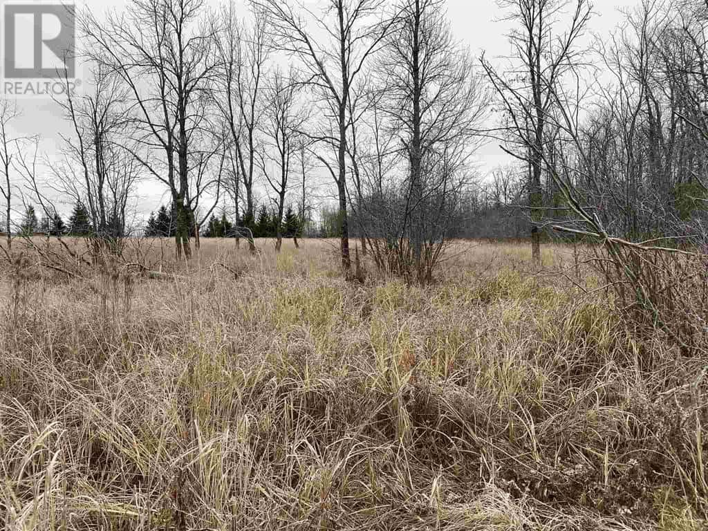 Lot 2 & 3 Con Nelson DR — St. Joseph Island, Ontario - Photo 5 of 20