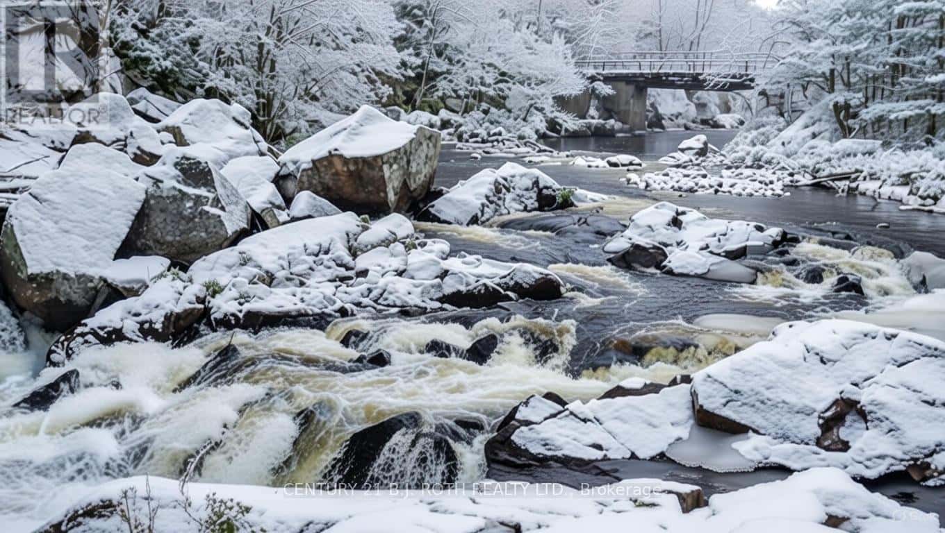 8101 KINGS RIVER ROAD — Ramara, Ontario - Photo 2 of 48