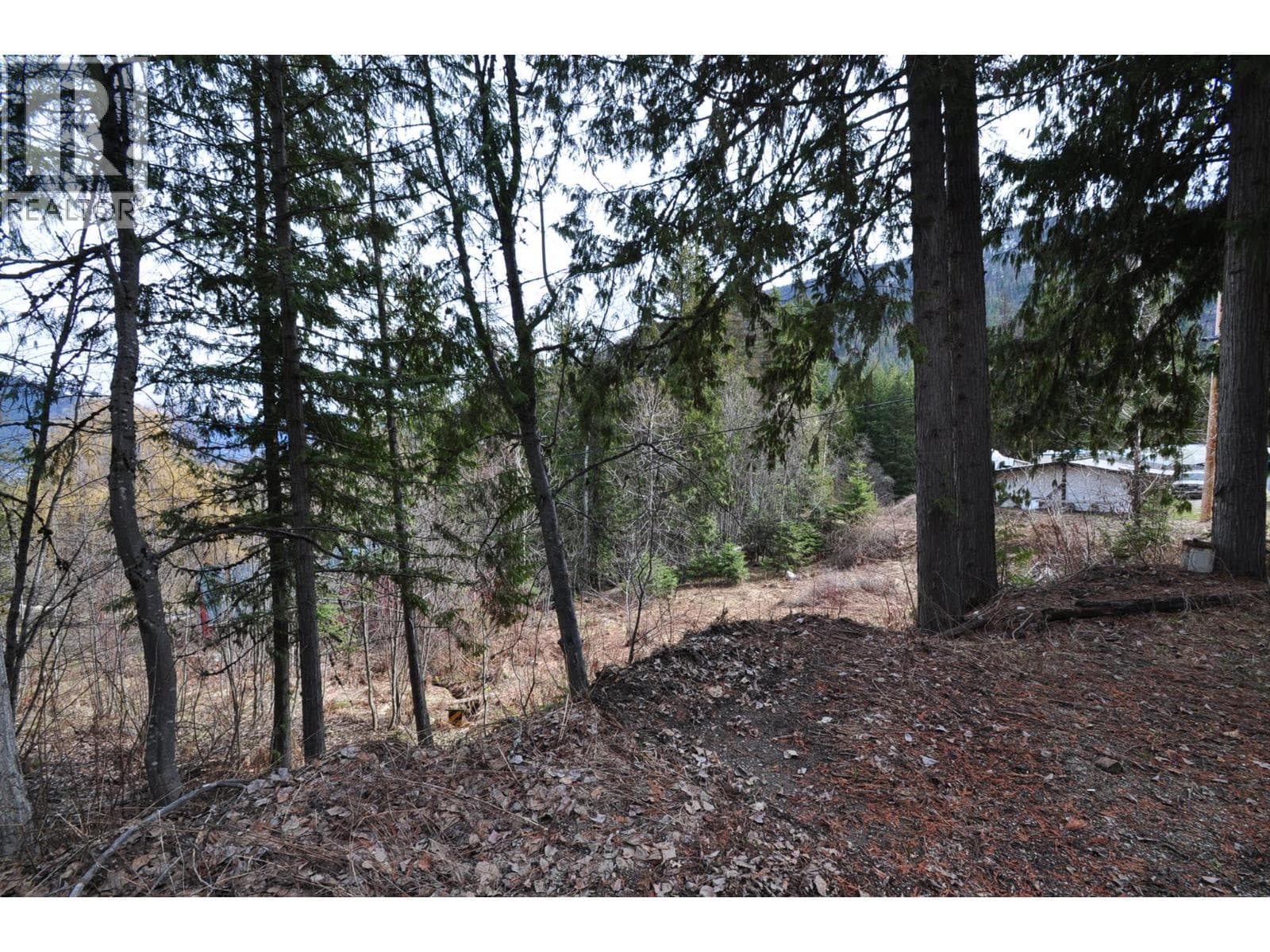 2835 SILVER KING Road — Nelson, British Columbia - Main photo