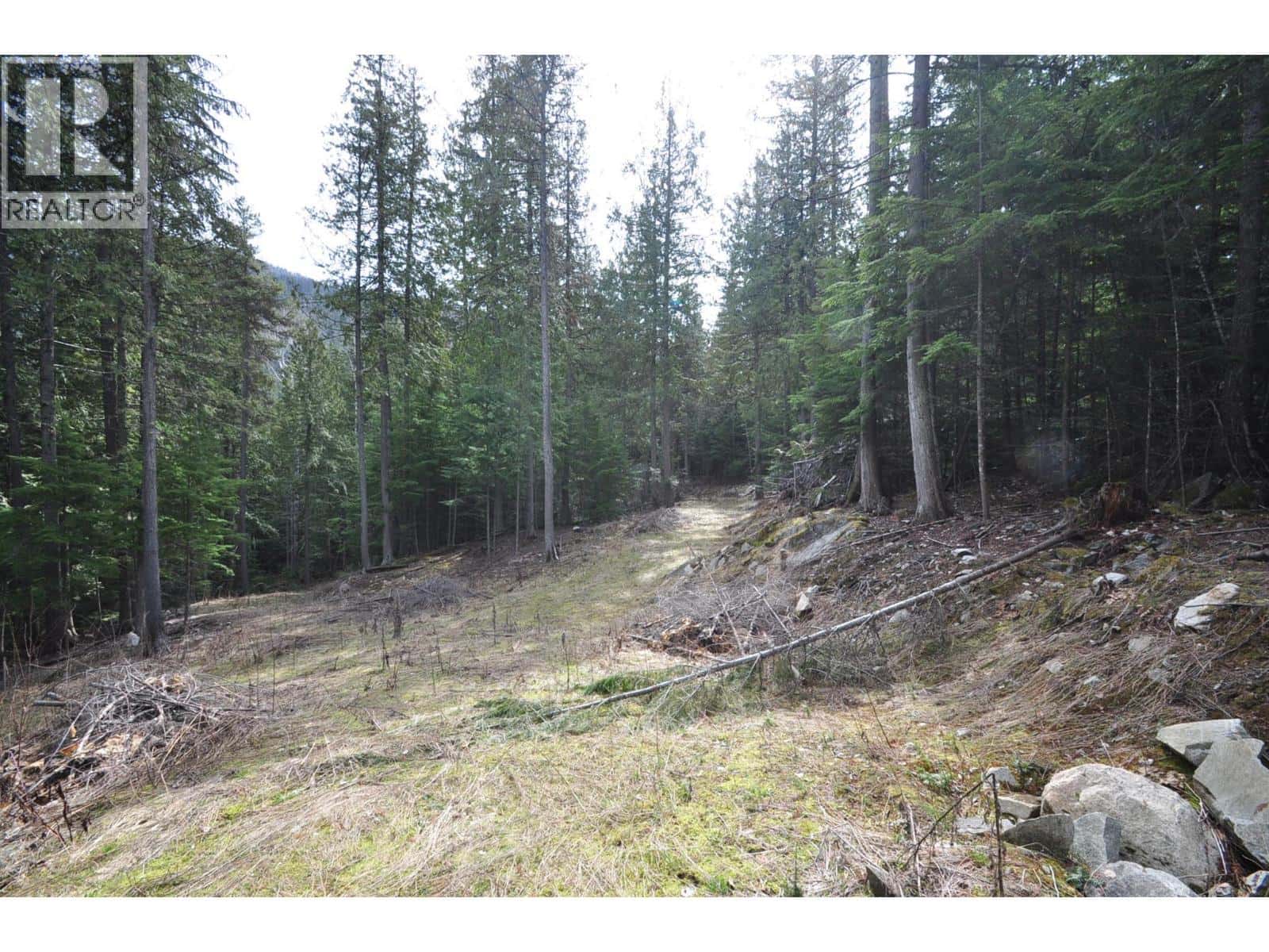 2835 SILVER KING Road — Nelson, British Columbia - Photo 5 of 22