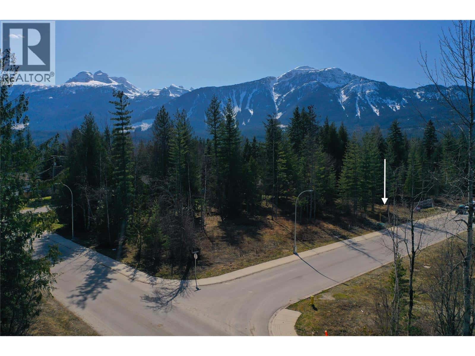 1039 Williams Gate Lane — Revelstoke, British Columbia - Photo 3 of 6