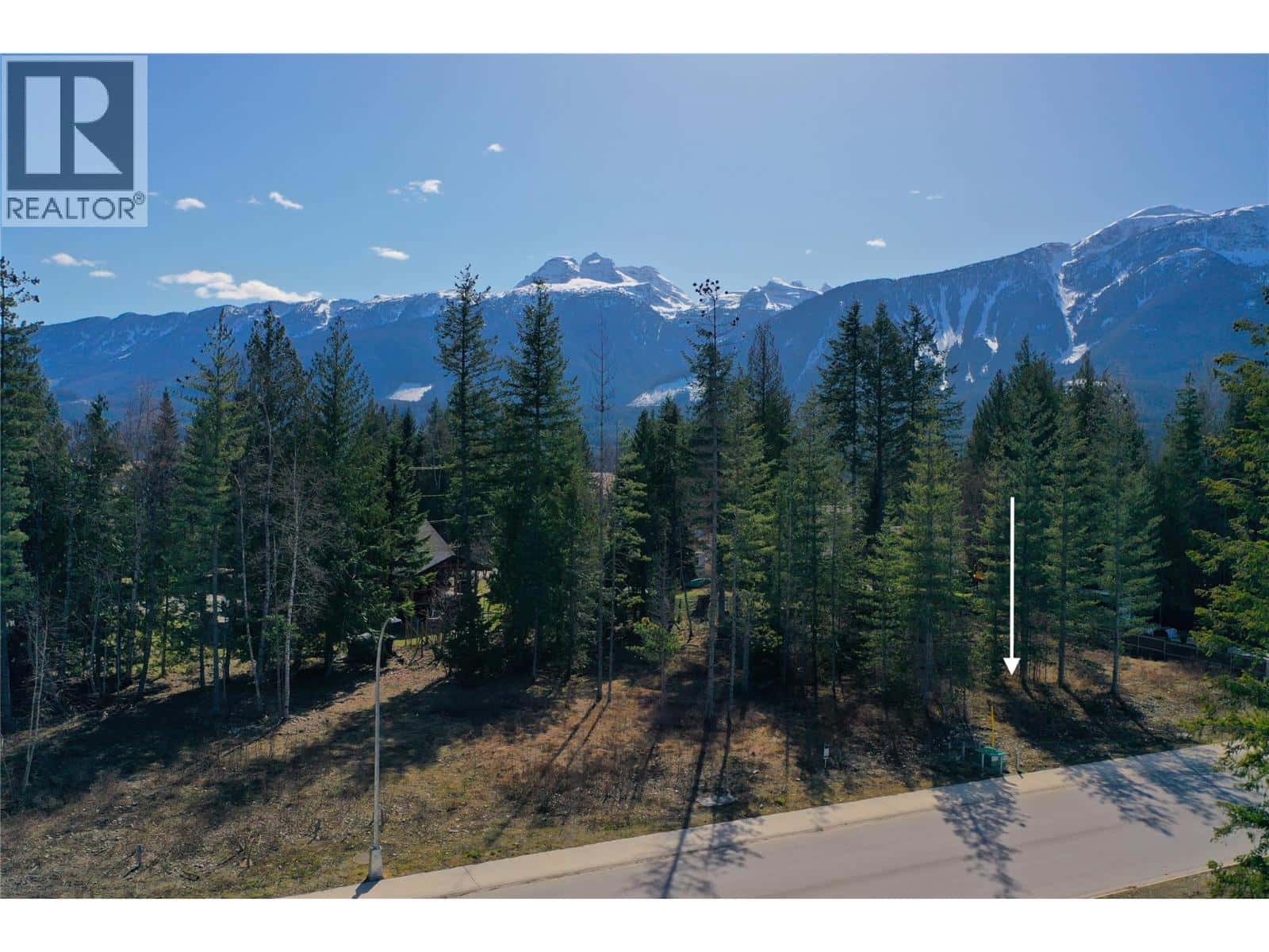 1039 Williams Gate Lane — Revelstoke, British Columbia - Photo 4 of 6