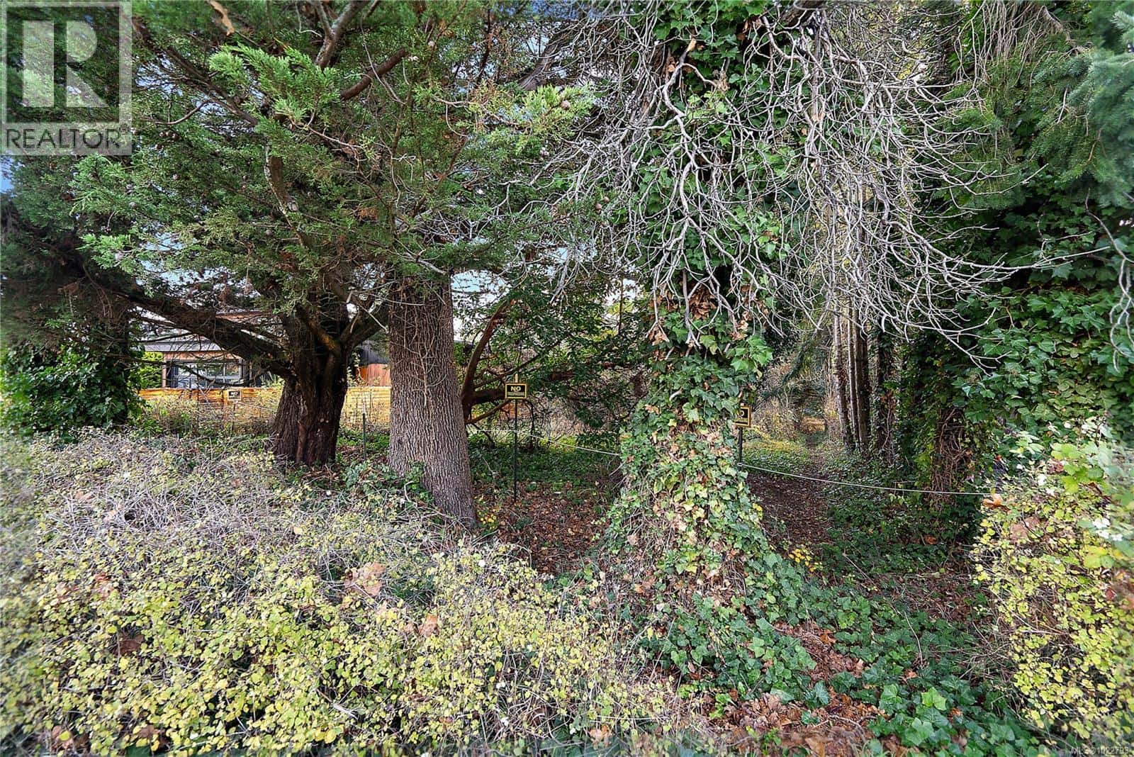 10211 Resthaven Dr — Sidney, British Columbia - Photo 4 of 31