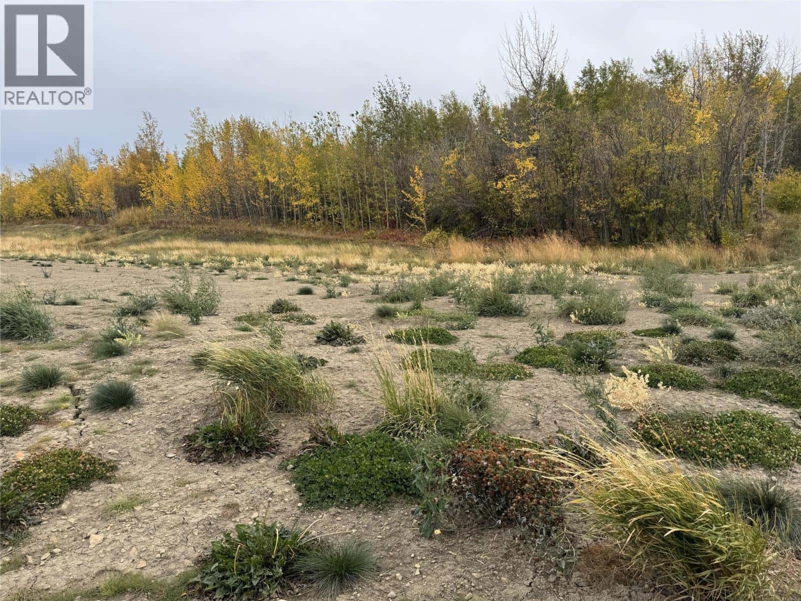 206 Road Lot# 3 — Dawson Creek, British Columbia - Photo 4 of 12