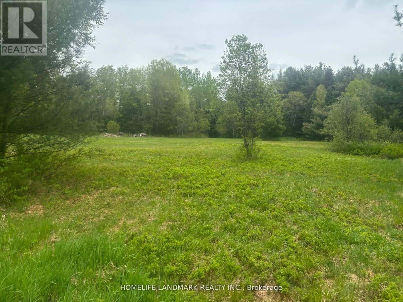 1995 BEAR CAVE ROAD — Muskoka Lakes (Cardwell), Ontario - Photo 2 of 25