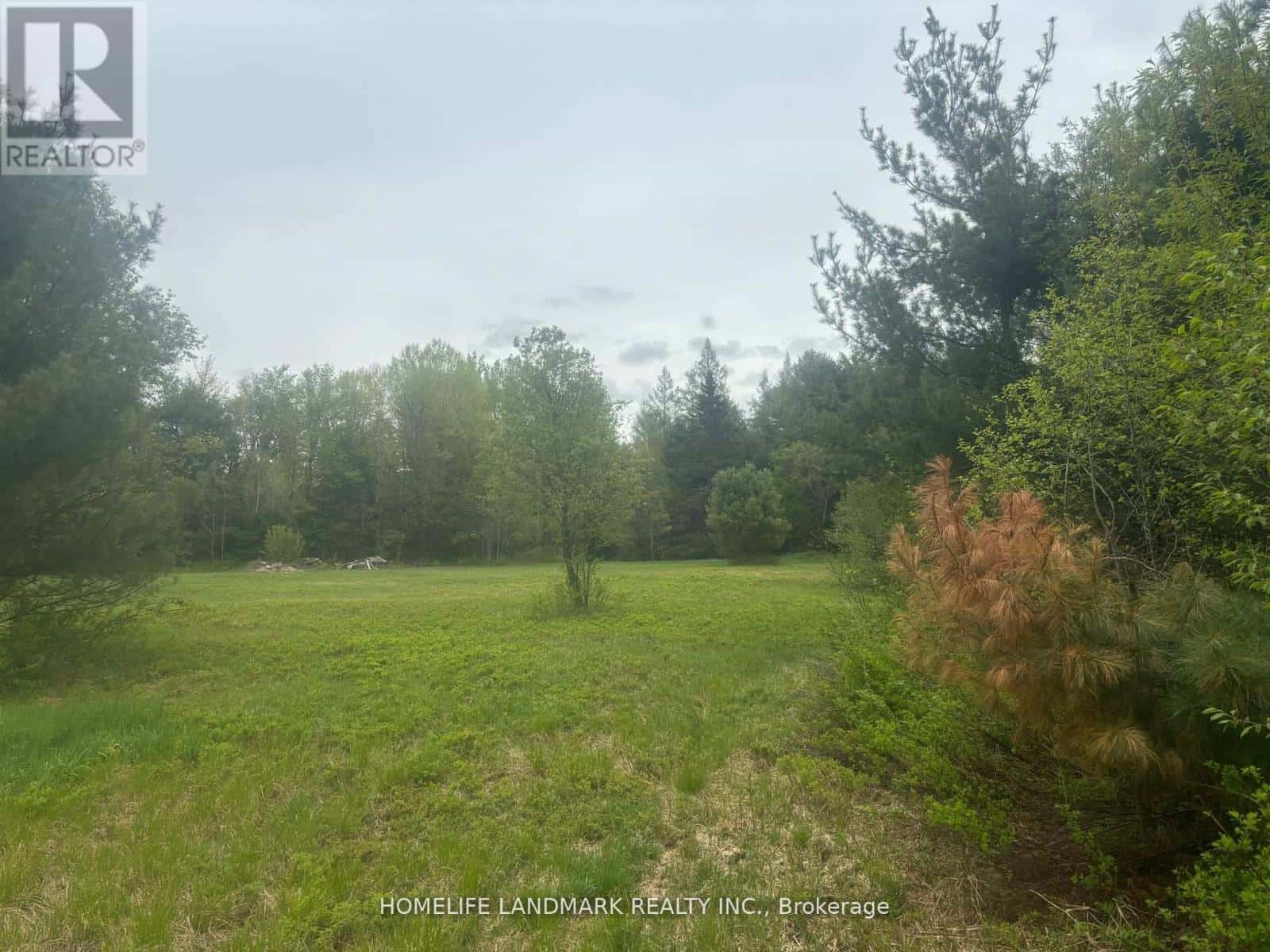 1995 BEAR CAVE ROAD — Muskoka Lakes (Cardwell), Ontario - Photo 3 of 25