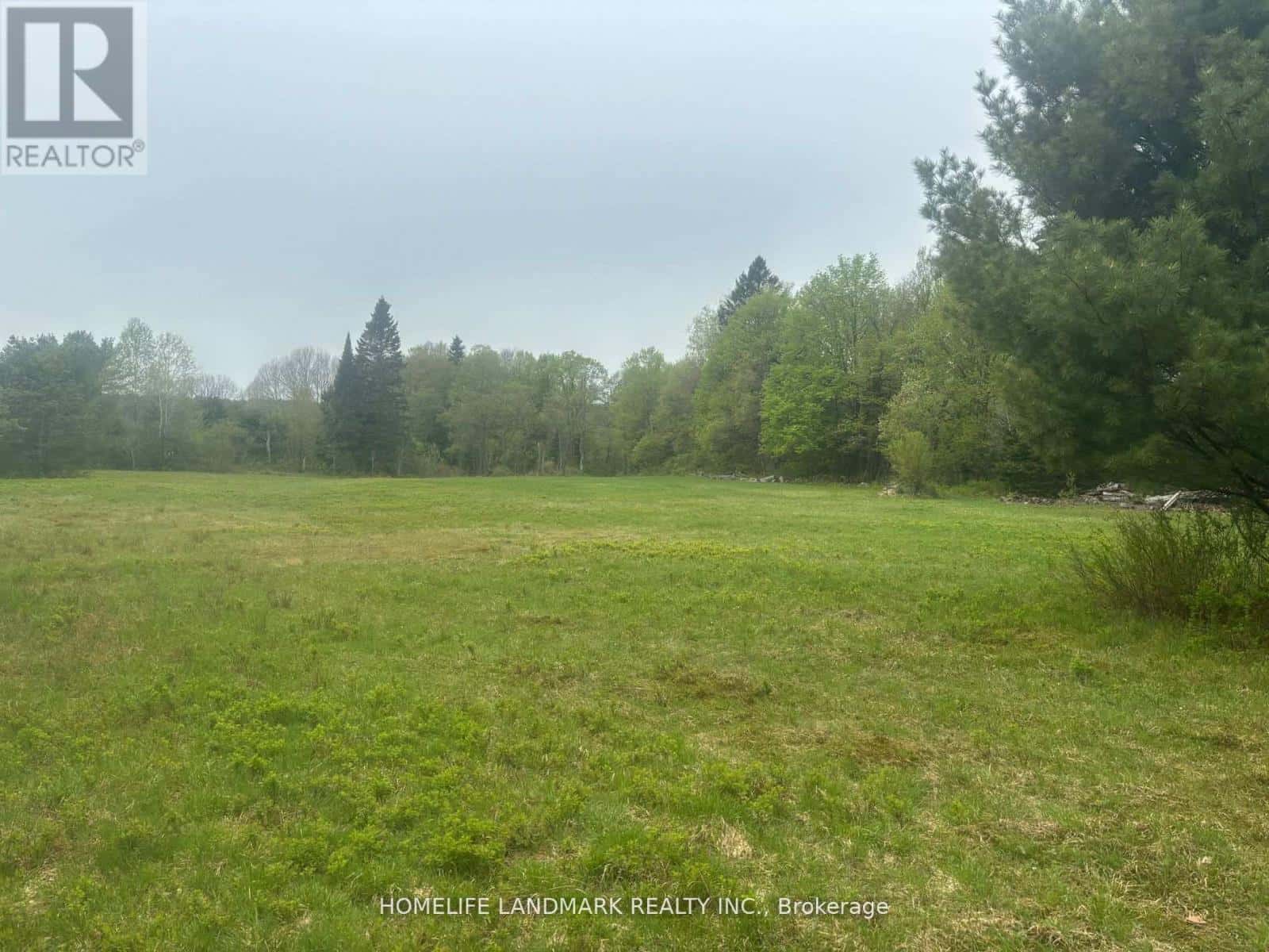 1995 BEAR CAVE ROAD — Muskoka Lakes (Cardwell), Ontario - Photo 4 of 25