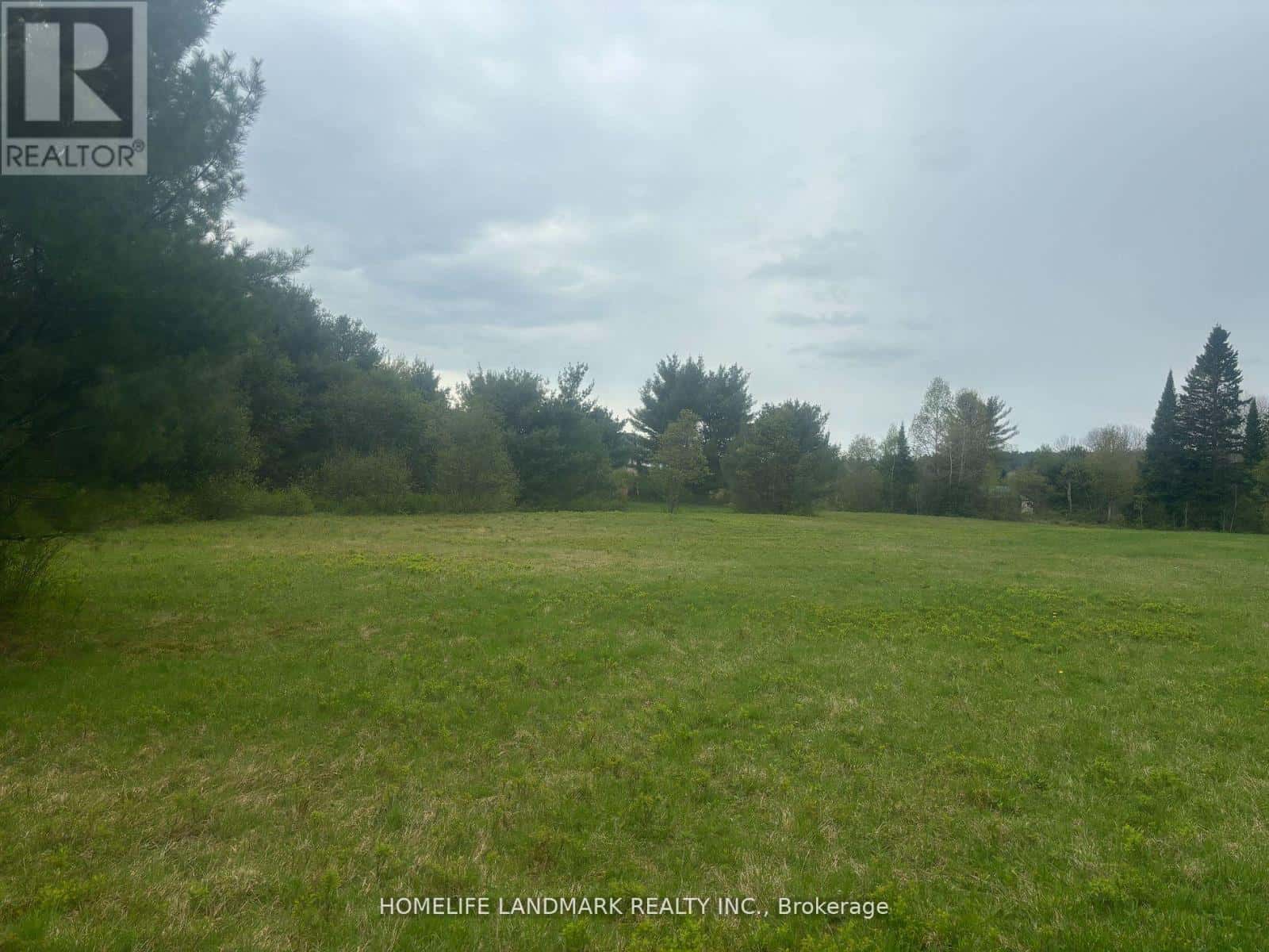 1995 BEAR CAVE ROAD — Muskoka Lakes (Cardwell), Ontario - Photo 5 of 25