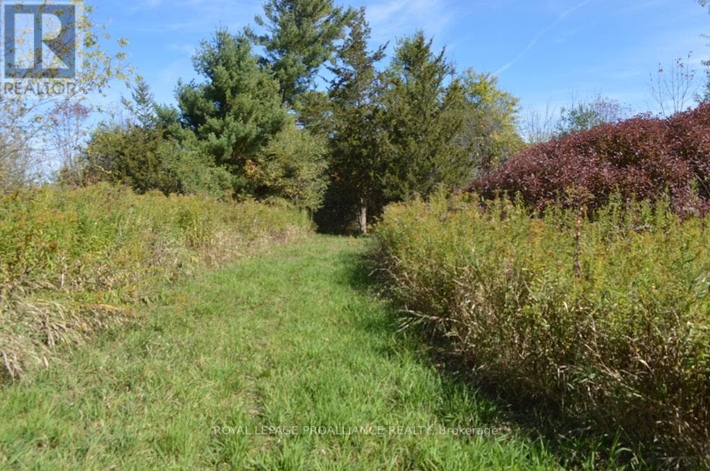 00 SCRIVER ROAD — Brighton, Ontario - Main photo