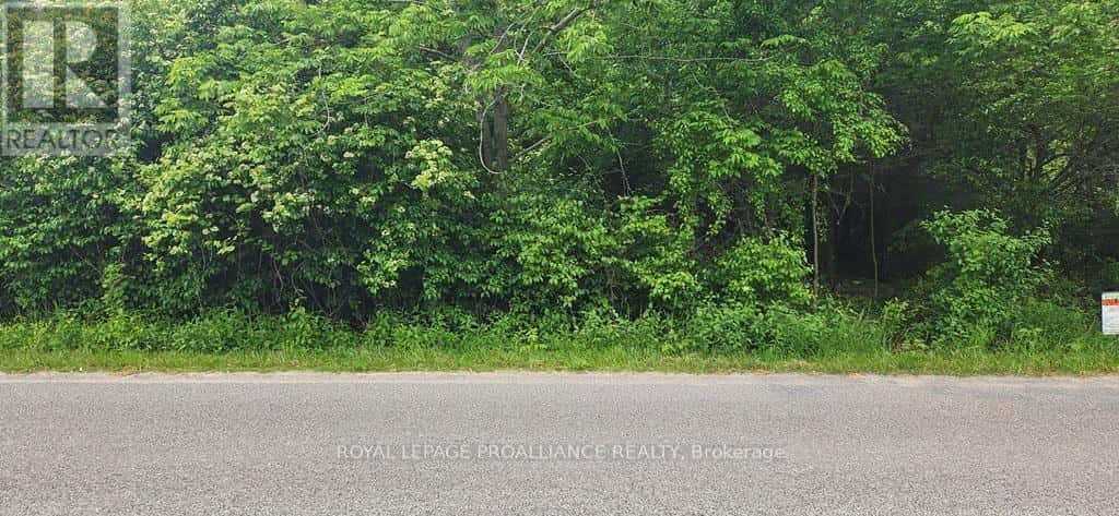 00 SCRIVER ROAD — Brighton, Ontario - Photo 5 of 6