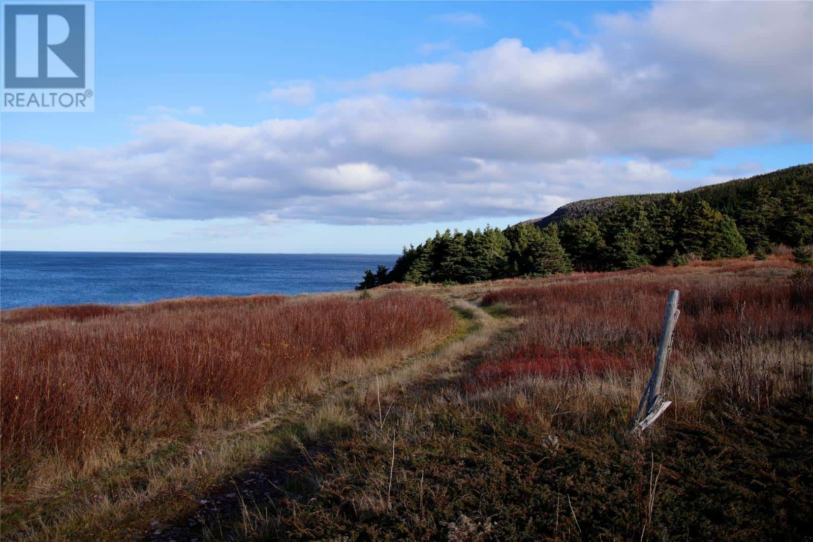 0 Broad Cove — Duntara, Newfoundland & Labrador - Photo 4 of 6