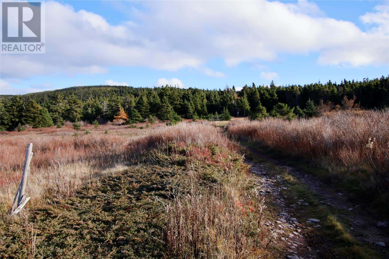 0 Broad Cove — Duntara, Newfoundland & Labrador - Photo 5 of 6