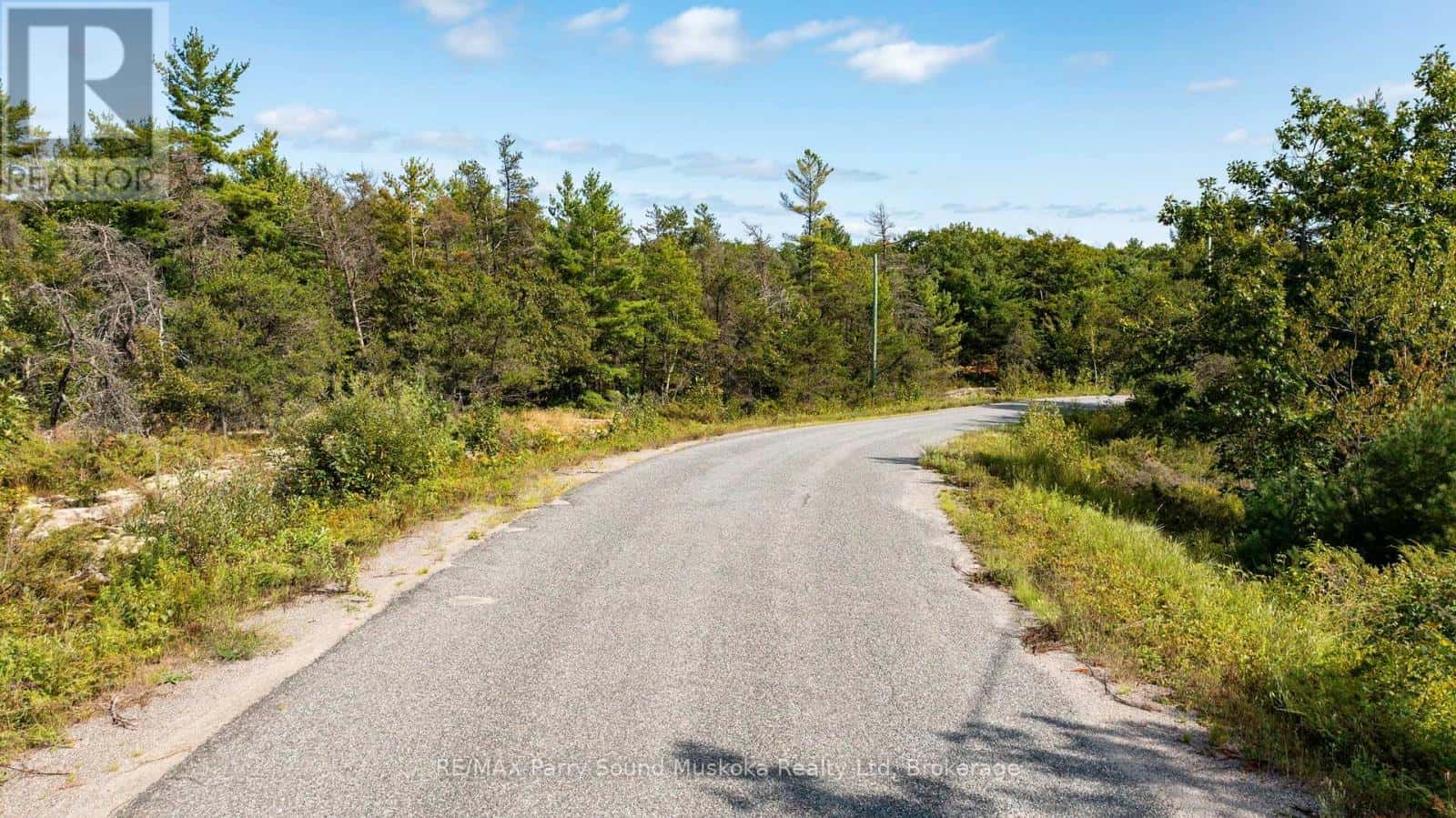 3 CORDUROY BAY ROAD — Carling, Ontario - Photo 4 of 33