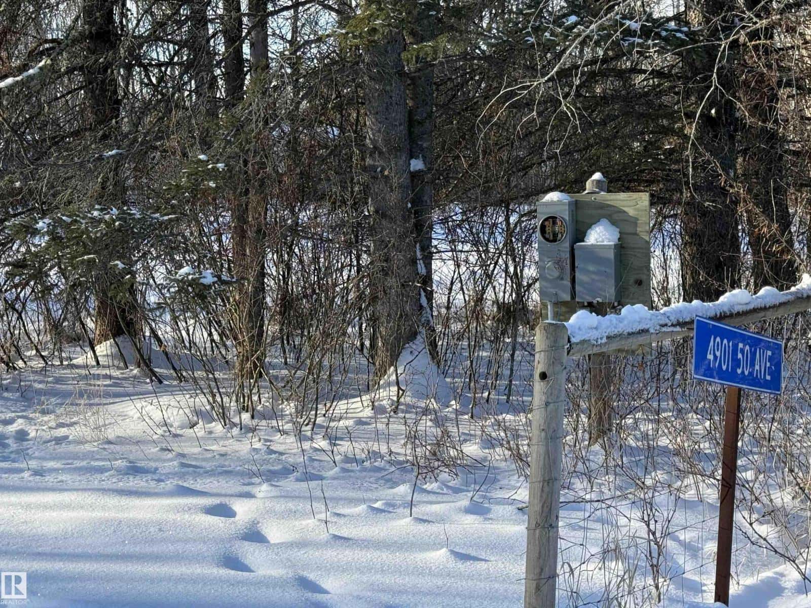 4901 50 AV — Violet Grove, Alberta - Photo 3 of 9
