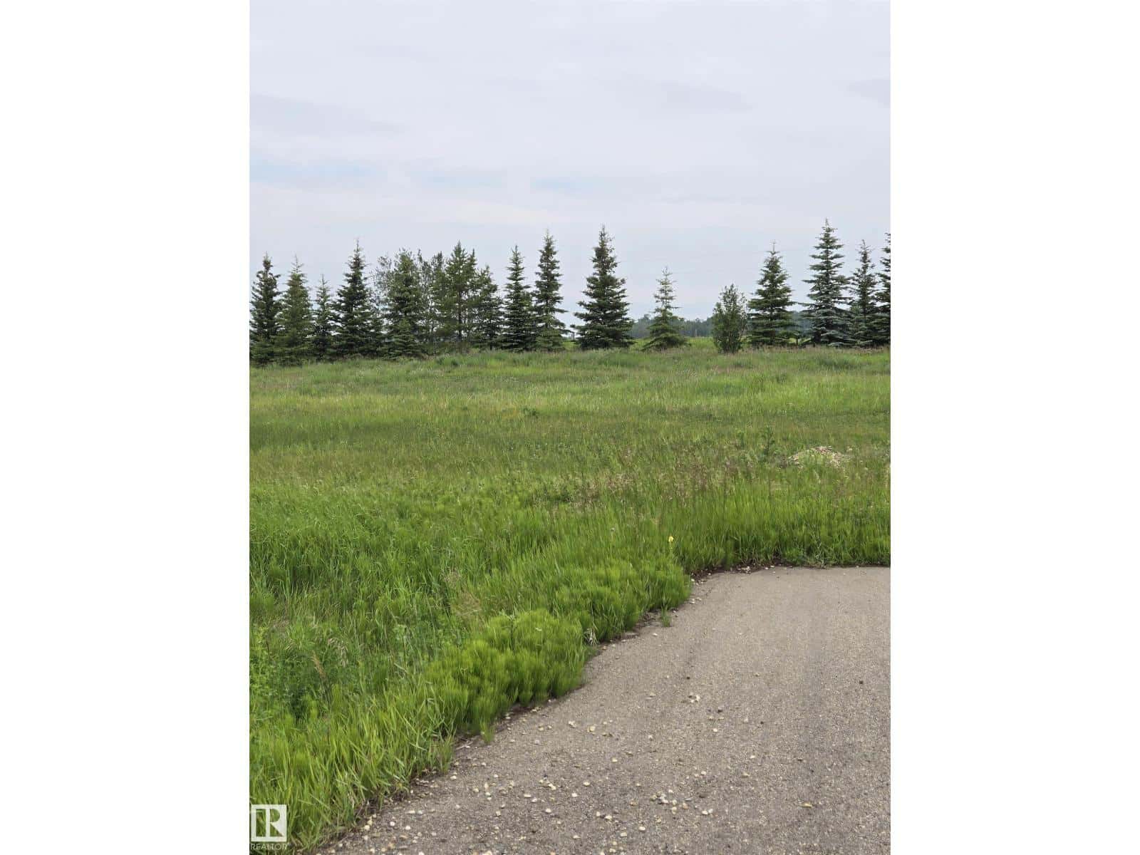 20 FALCON DRIVE — New Sarepta, Alberta - Photo 4 of 5