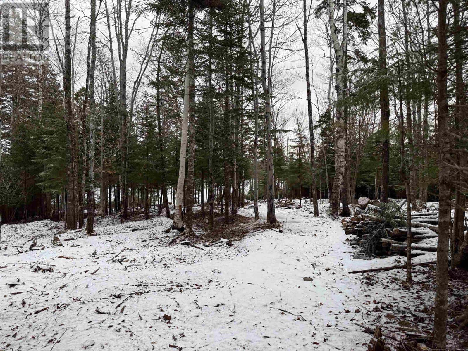 19 Davis Avenue — Upper Rawdon, Nova Scotia - Photo 5 of 9