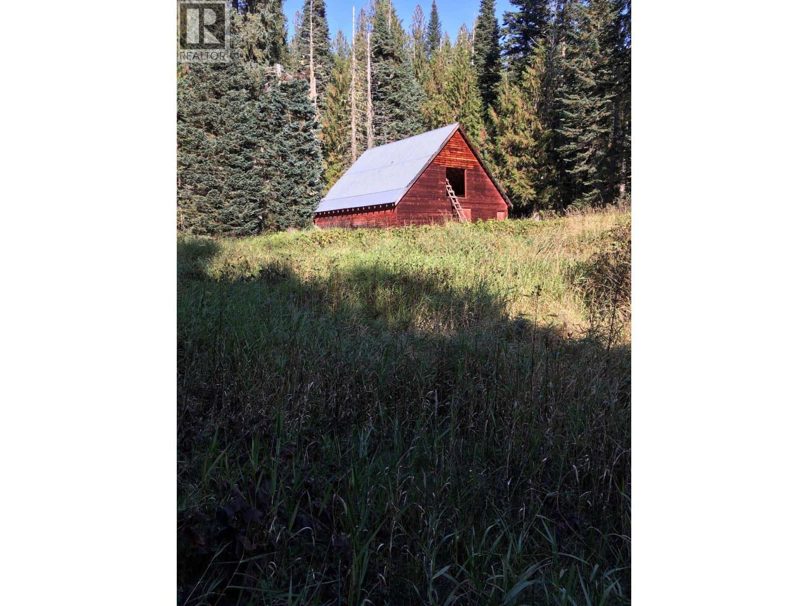 BLK D DOME CREEK — Dome Creek, British Columbia - Photo 2 of 16