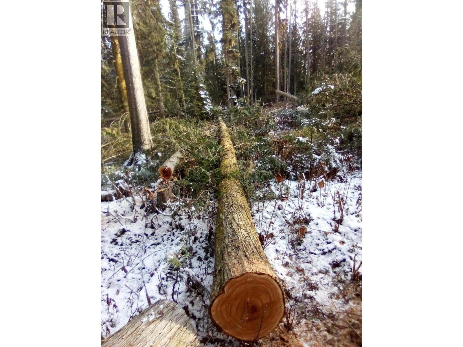 BLK D DOME CREEK — Dome Creek, British Columbia - Photo 5 of 16