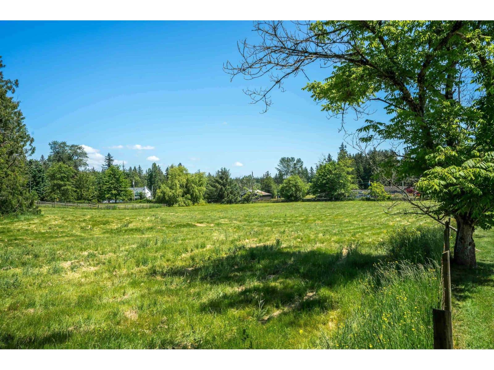 333 224 STREET — Langley, British Columbia - Photo 4 of 40