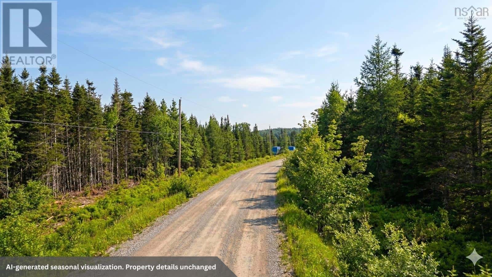 Lot 20 Helmuts Lane — Cleveland, Nova Scotia - Photo 4 of 19