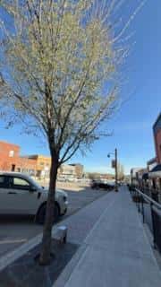 Rocky Mountain House — Rocky Mountain House - Photo 5 of 15