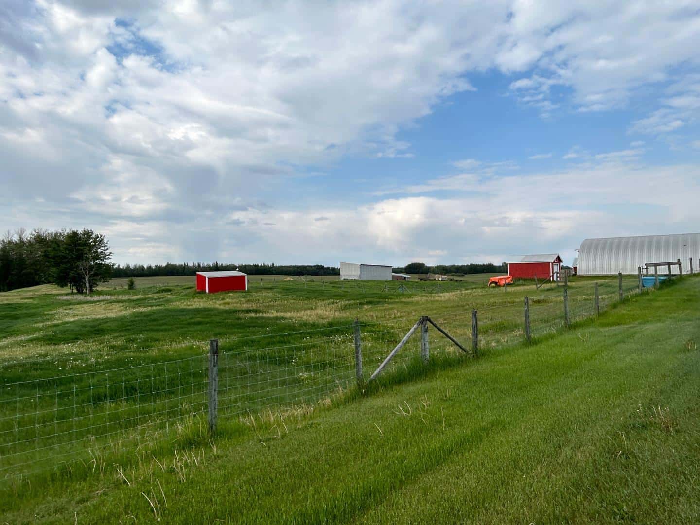 Stony Plain — Stony Plain - Photo 5 of 48