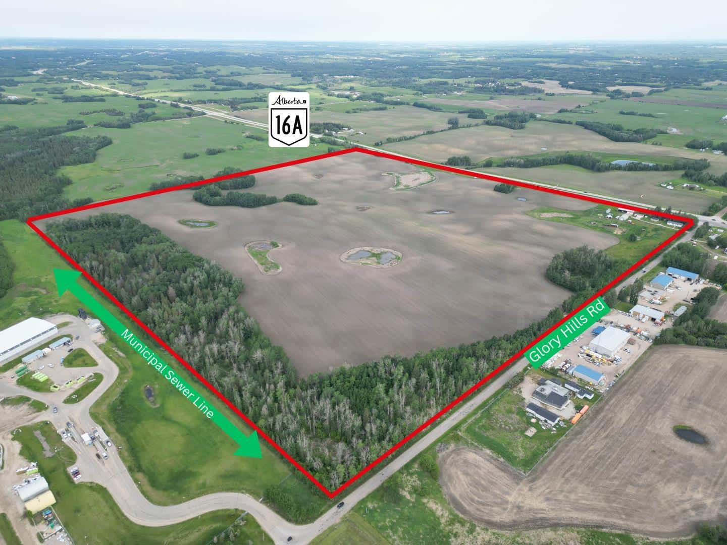 Stony Plain — Stony Plain - Photo 2 of 48