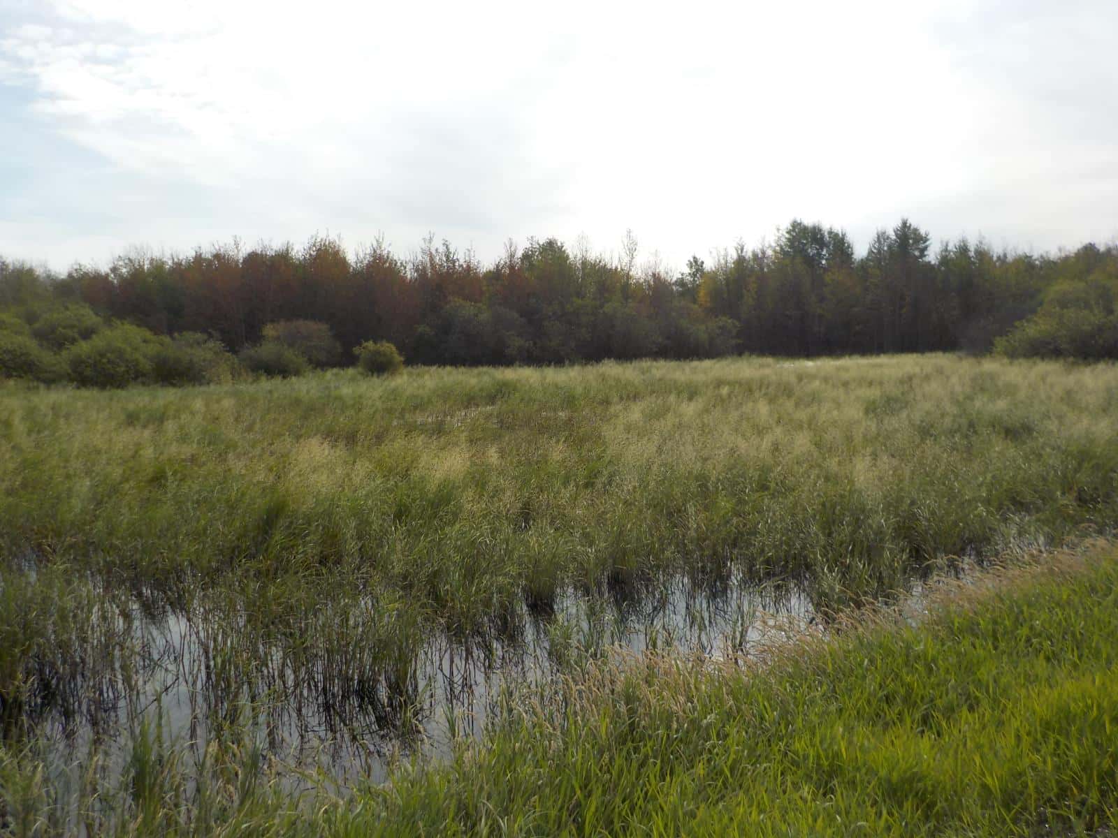 Redwater — Redwater - Photo 3 of 3