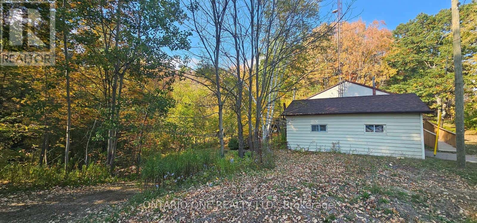 1479 11 HIGHWAY S — Gravenhurst (Morrison), Ontario - Photo 5 of 45