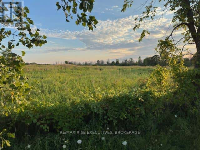 3878 COUNTY RD 8 — Greater Napanee (Greater Napanee), Ontario - Photo 3 of 8