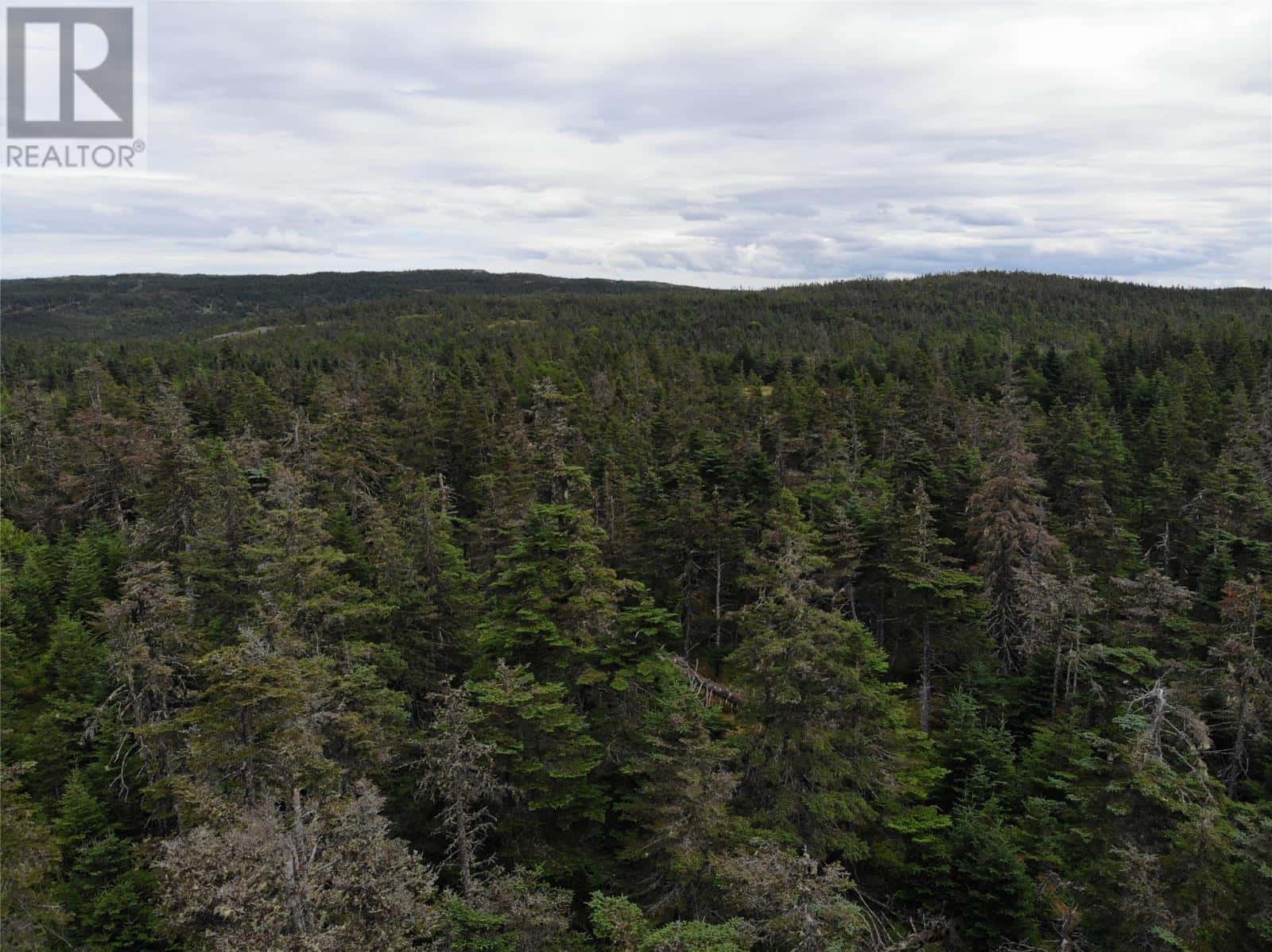 355 Roaches Line — Roaches Line, Newfoundland & Labrador - Photo 5 of 48