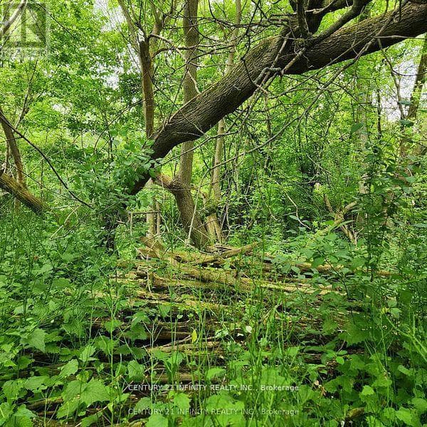 0-B HOWARD (NORTHWEST LOT) STREET — Port Hope, Ontario - Main photo