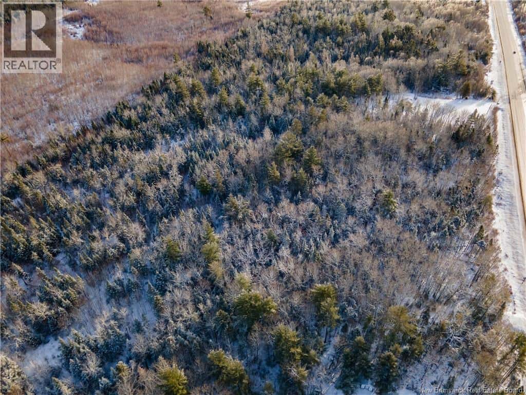 Lot Route 10 — Coles Island, New Brunswick - Photo 4 of 4