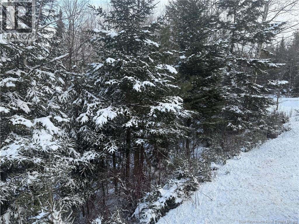 LOT Main Street — Doaktown, New Brunswick - Photo 2 of 3