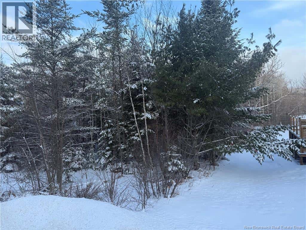 LOT Main Street — Doaktown, New Brunswick - Photo 3 of 3