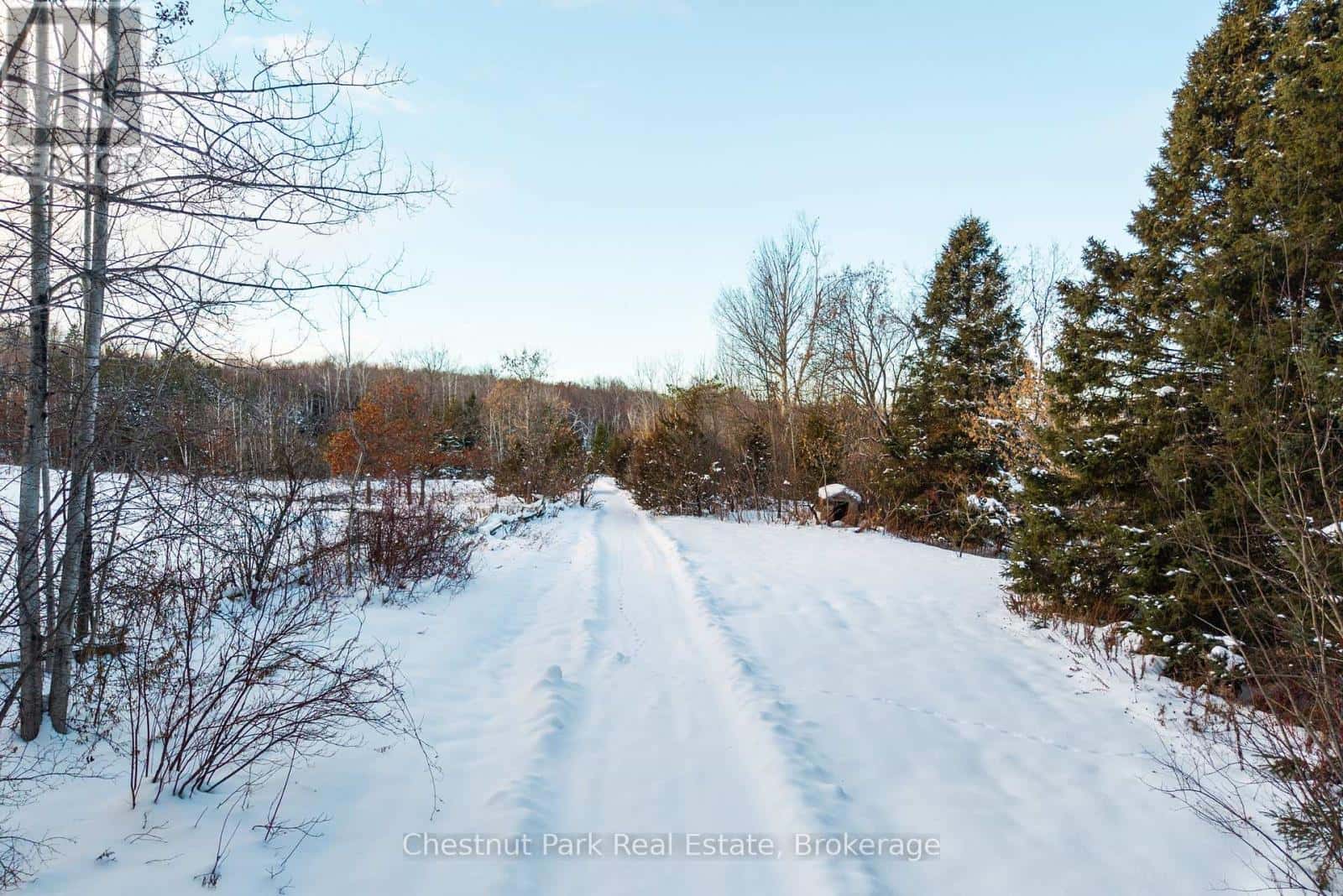 2970 FESSERTON SIDE ROAD — Severn (Fesserton), Ontario - Photo 3 of 19