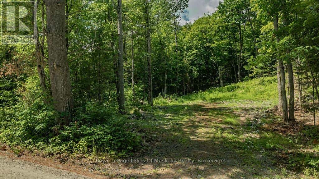 0000 RIL LAKE ROAD S — Lake of Bays (Ridout), Ontario - Photo 3 of 8