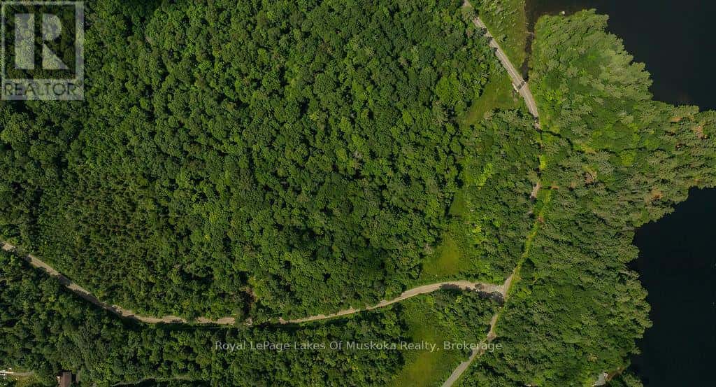 0000 RIL LAKE ROAD S — Lake of Bays (Ridout), Ontario - Photo 4 of 8