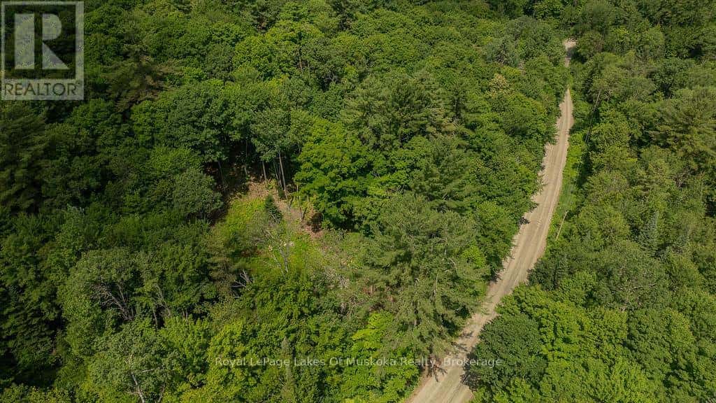 0000 RIL LAKE ROAD S — Lake of Bays (Ridout), Ontario - Photo 5 of 8