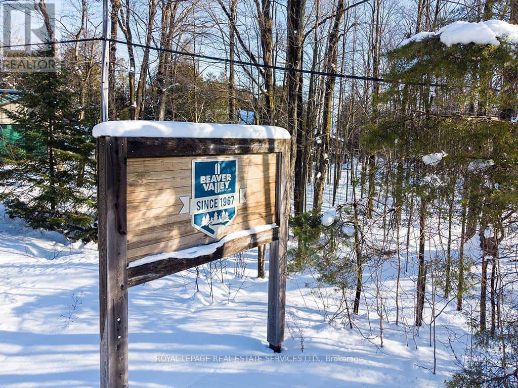 157 BOWLES BLUFF ROAD — Grey Highlands, Ontario - Photo 3 of 34