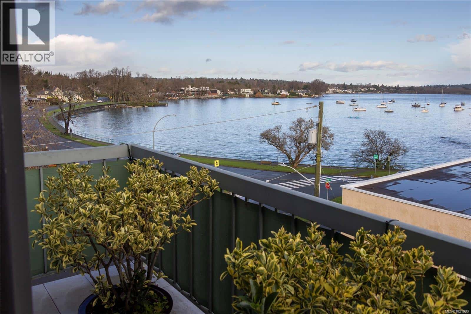 503 2605 Windsor Rd — Oak Bay, British Columbia - Photo 5 of 51