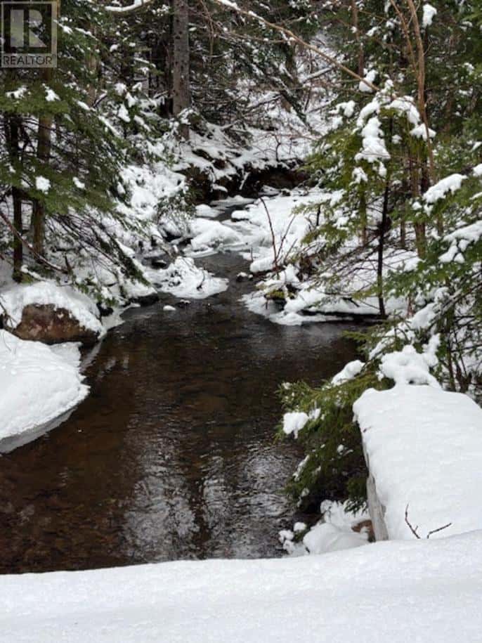 Lot Chipman Brook — Chipman Brook, Nova Scotia - Photo 3 of 3